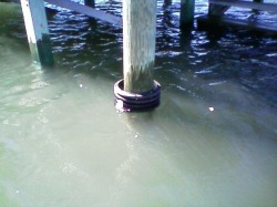 Piling Protection, Ocean Isle Beach, NC